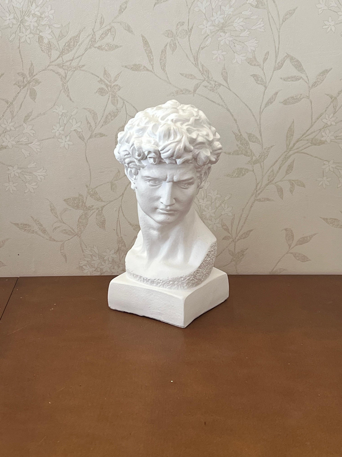 Classical Bust Sculpture, David Bust Head Satue, Renaissance Style Bust Statue, Classical Head Sculpture, David Bust Sculpture, David Bust, David Bust Decor, David Sculpture