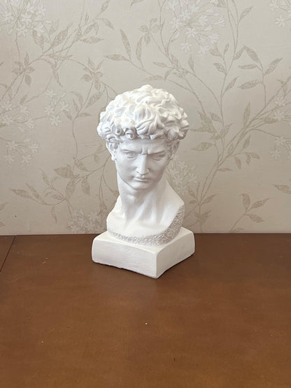 Classical Bust Sculpture, David Bust Head Satue, Renaissance Style Bust Statue, Classical Head Sculpture, David Bust Sculpture, David Bust, David Bust Decor, David Sculpture