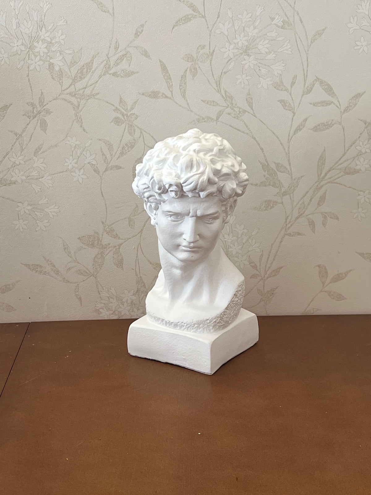 Classical Bust Sculpture, David Bust Head Satue, Renaissance Style Bust Statue, Classical Head Sculpture, David Bust Sculpture, David Bust, David Bust Decor, David Sculpture