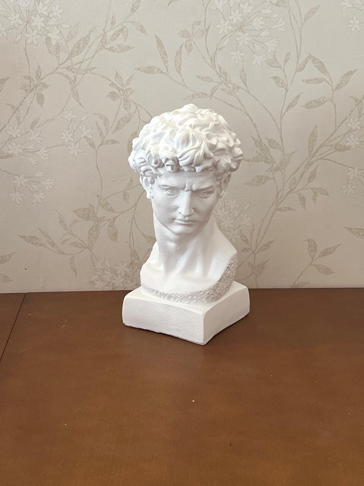 Classical Bust Sculpture, David Bust Head Satue, Renaissance Style Bust Statue, Classical Head Sculpture, David Bust Sculpture, David Bust, David Bust Decor, David Sculpture