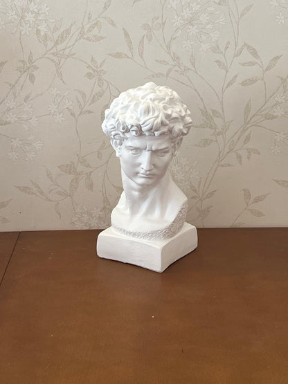 Classical Bust Sculpture, David Bust Head Satue, Renaissance Style Bust Statue, Classical Head Sculpture, David Bust Sculpture, David Bust, David Bust Decor, David Sculpture