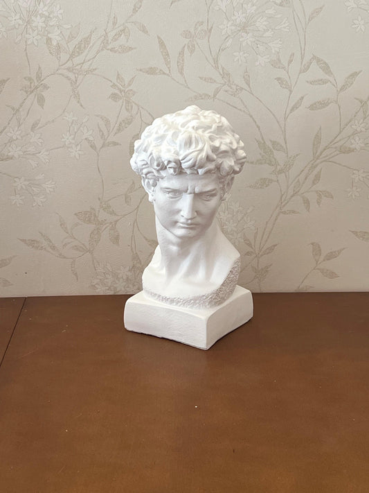 Classical Bust Sculpture, David Bust Head Satue, Renaissance Style Bust Statue, Classical Head Sculpture, David Bust Sculpture, David Bust, David Bust Decor, David Sculpture