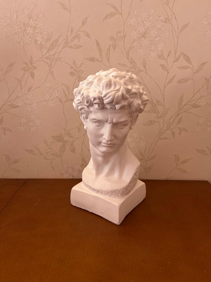 Classical Bust Sculpture, David Bust Head Satue, Renaissance Style Bust Statue, Classical Head Sculpture, David Bust Sculpture, David Bust, David Bust Decor, David Sculpture