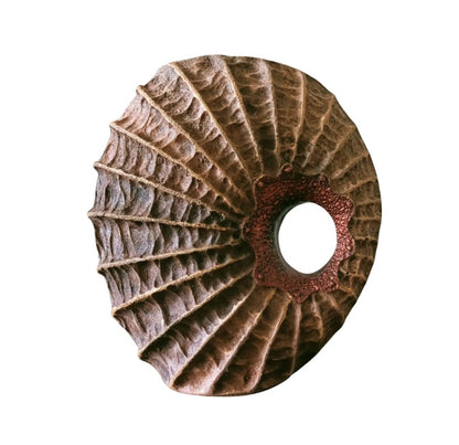 Handmade Seashell Vase, Coastal Home Decor, Ocean Inspired Vase, Nautical Statue