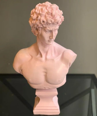 David Bust Decorative Sculpture, Greek Statue Decor, Abstract Classical Bust Statue, Modern Art Sculpture, David Bust, David Sculpture, David Bust Decor, David Decor, David Statue