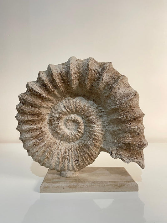 Seashell Sculpture, Fossil Shell Statue, Shell Art Decor, Oceanic Home Decor, Ocean Inspired Sculpture, Seashell Figurine, Ocean Sculpture,Nautilus Shell Decor