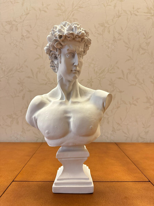David Büste Dekorative Skulptur, Griechische Statue Dekor, Abstrakte Klassische Büste Statue, Moderne Kunst Skulptur, David Büste, David Skulptur, David Büste Dekor, David Dekor, David Statue