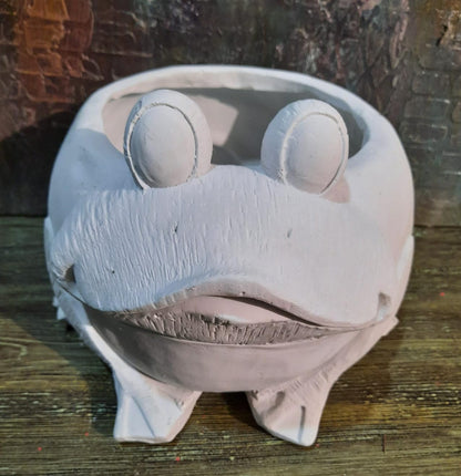 Frog Planter Pot, Frog Shaped Flower Pot Planter, Frog Planter for Indoor, Frog Vase, Frog Themed Vase, Gift For Frog Lovers, Frog Plant Pot