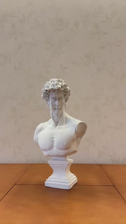 David Bust Decorative Sculpture, Greek Statue Decor, Abstract Classical Bust Statue, Modern Art Sculpture, David Bust, David Sculpture, David Bust Decor, David Decor, David Statue