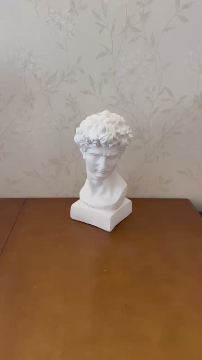 Classical Bust Sculpture, David Bust Head Satue, Renaissance Style Bust Statue, Classical Head Sculpture, David Bust Sculpture, David Bust, David Bust Decor, David Sculpture